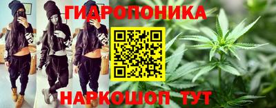 PSILOCYBIN Северобайкальск