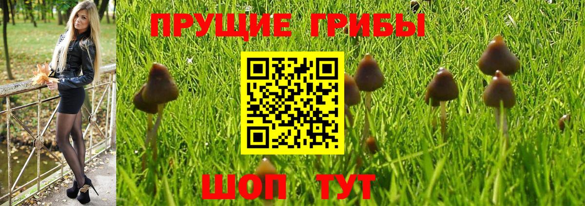 Псилоцибиновые грибы Magic Shrooms Ачхой-Мартан