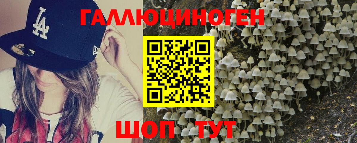 Галлюциногенные грибы прущие грибы  Вход с VPN  дарнет шоп  Ачхой-Мартан 